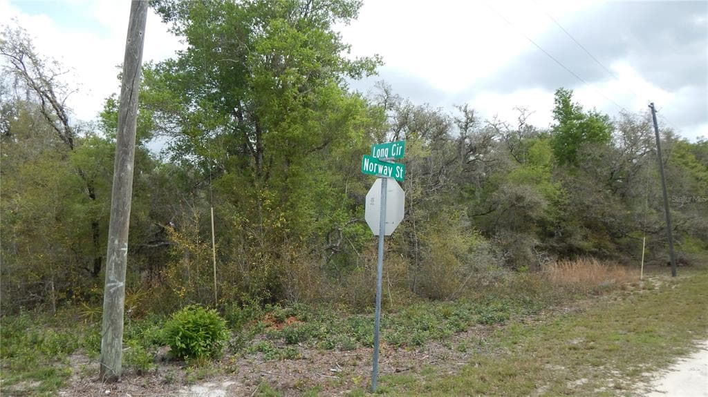 0 NORWAY STREET WEBSTER, FL 33597