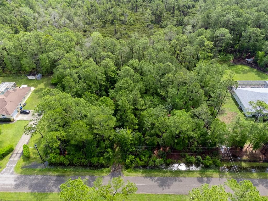 0 OLCOTT DRIVE WESLEY CHAPEL, FL 33544