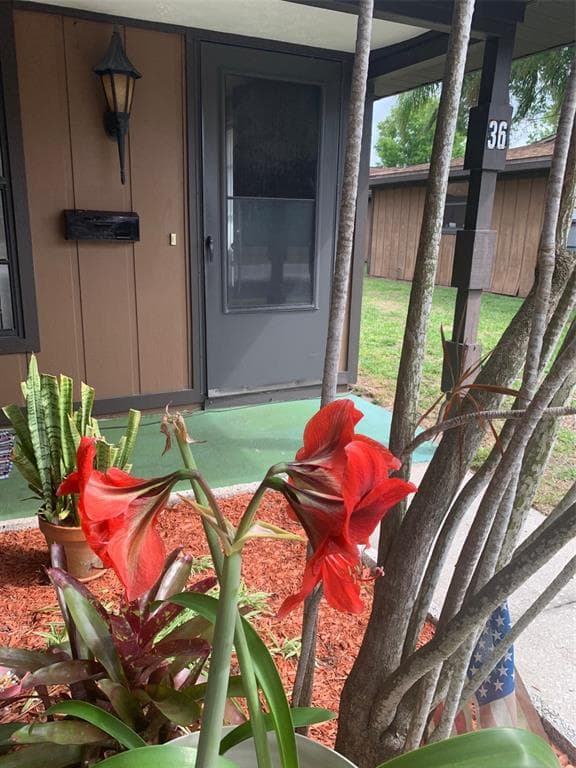 1980 TAHITIAN PLACE UNIT 36 DUNEDIN, FL 34698