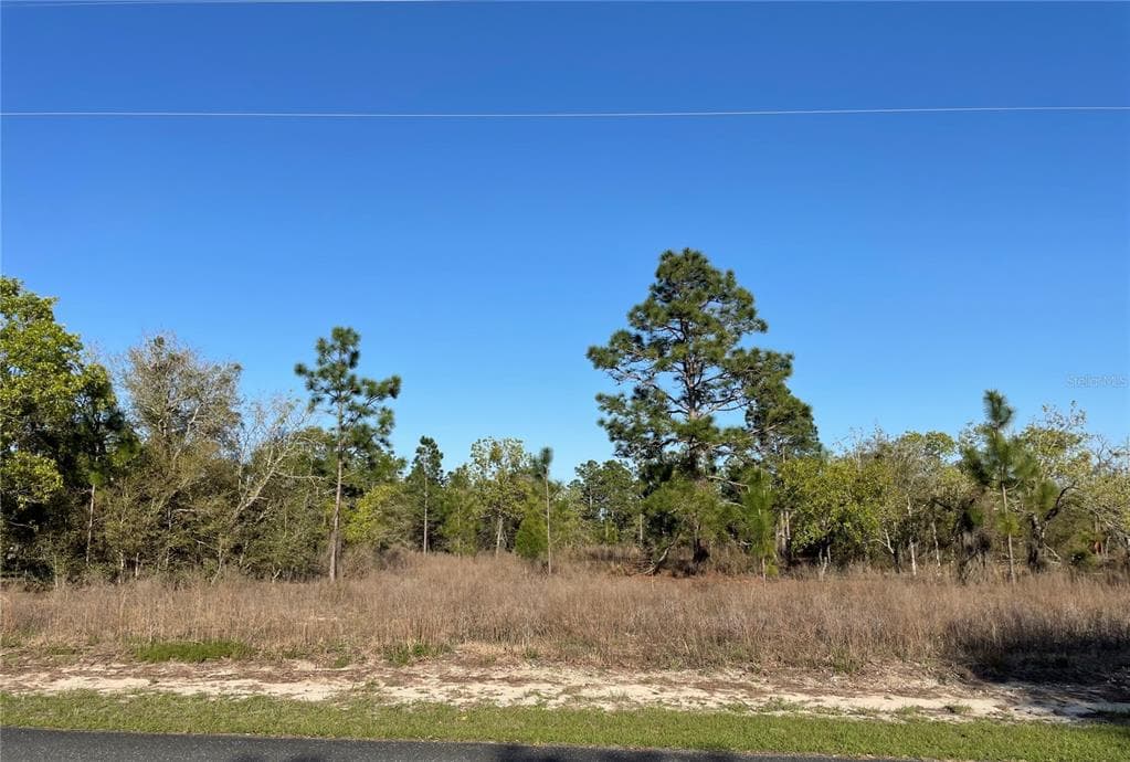 0000 SW OBEE RIDGE RD DUNNELLON, FL 34431