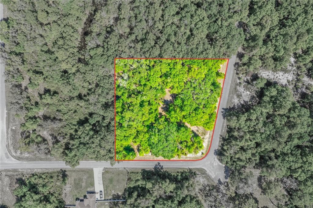 HACKWOOD AVENUE WEBSTER, FL 33597