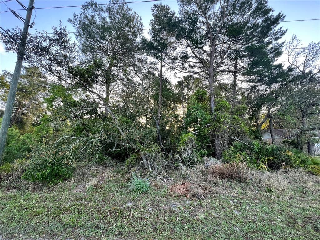 4064 TOMAHAWK AVENUE SPRING HILL, FL 34606