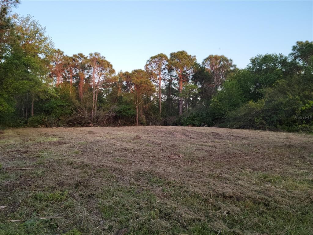8240 DAFOE STREET PORT CHARLOTTE, FL 33981