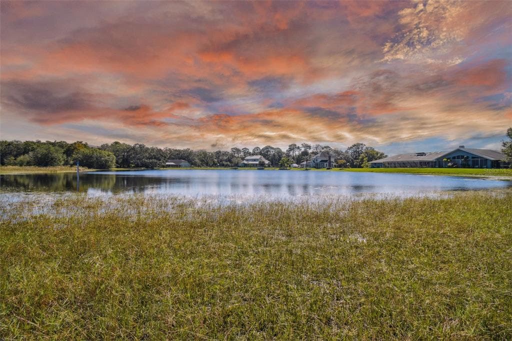 YELLOW LAKE DRIVE NEW PORT RICHEY, FL 34653