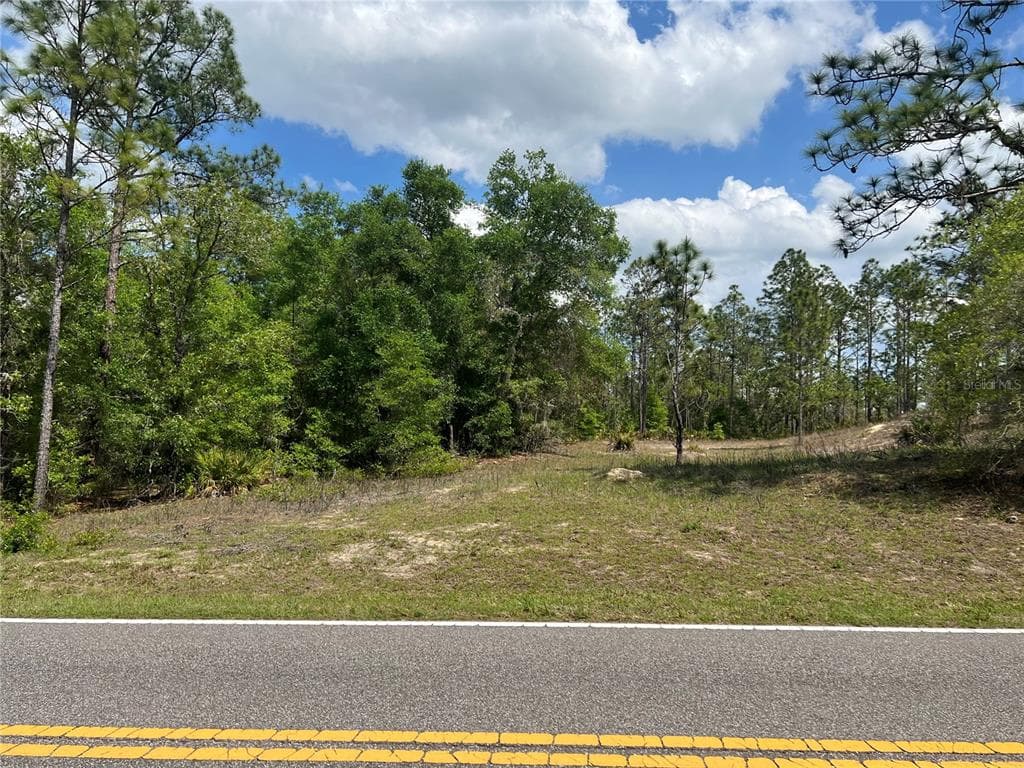 0 MADONNA DRIVE WEBSTER, FL 33597