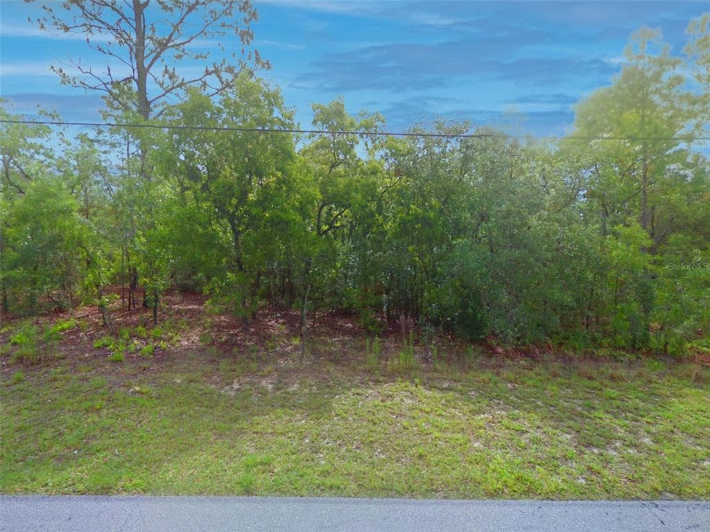 3355 N ANNAPOLIS AVENUE HERNANDO, FL 34442
