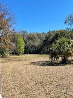 N WILDER ROAD PLANT CITY, FL 33565