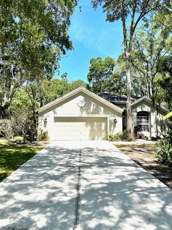 4441 HIDDEN SHADOW DRIVE TAMPA, FL 33614