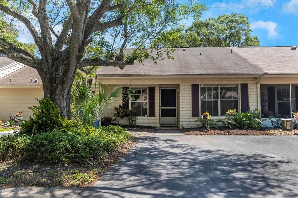 328 SALEM STREET SAFETY HARBOR, FL 34695