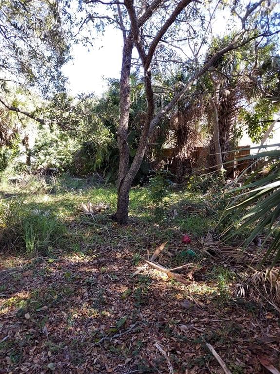 COWRY ROAD VENICE, FL 34293