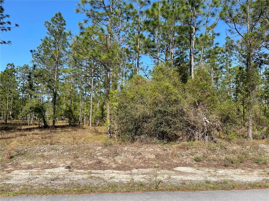 000 SW COMMODORE ROAD DUNNELLON, FL 34431