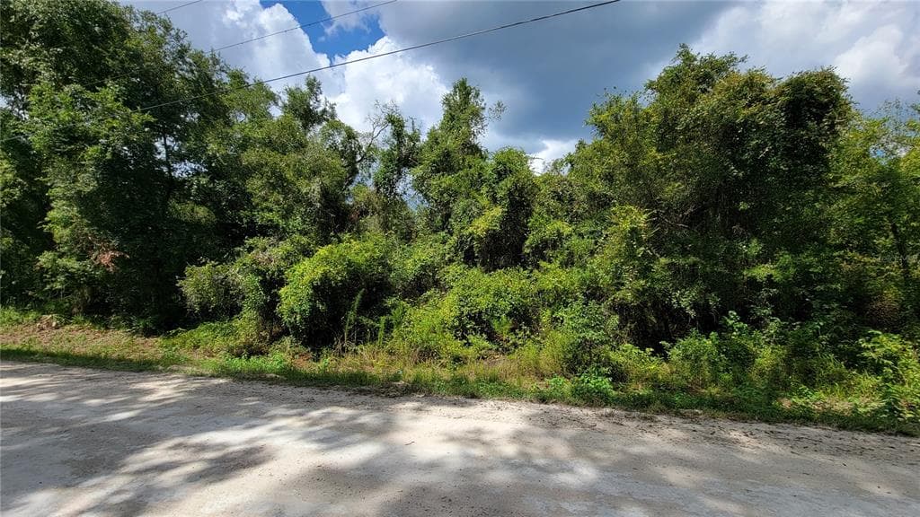 33033 TEAKWOOD DRIVE WEBSTER, FL 33597