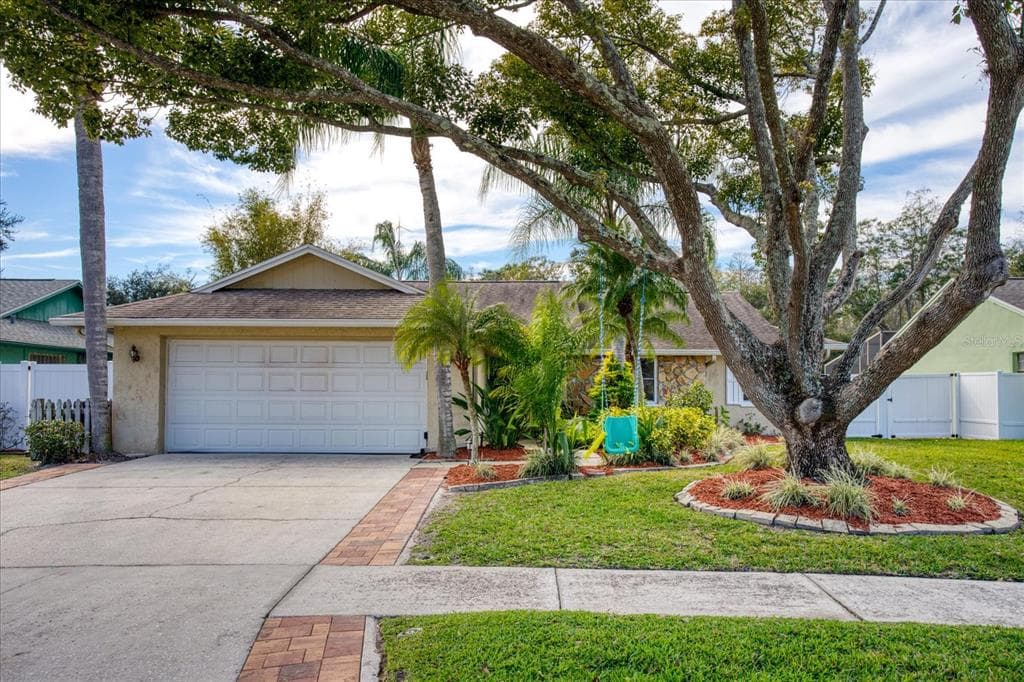 5364 BLACK PINE DRIVE TAMPA, FL 33624