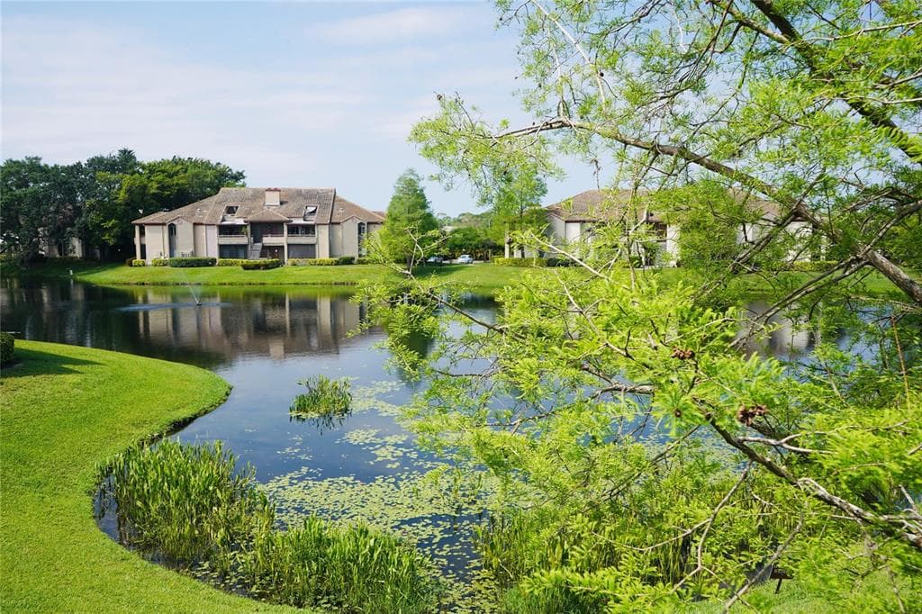 10265 GANDY BOULEVARD UNIT 712 ST PETERSBURG, FL 33702