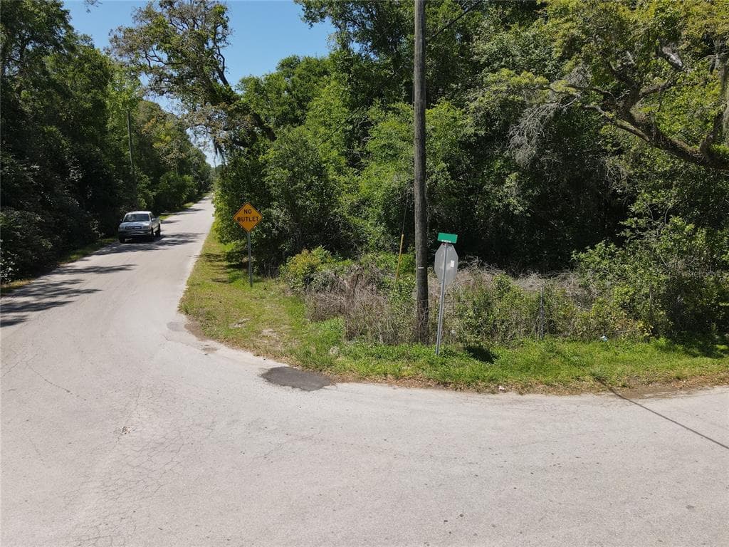 51 BENES ROAD MASARYKTOWN, FL 34604