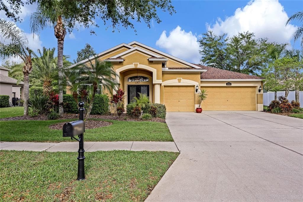 19041 FERN MEADOW LOOP LUTZ, FL 33558