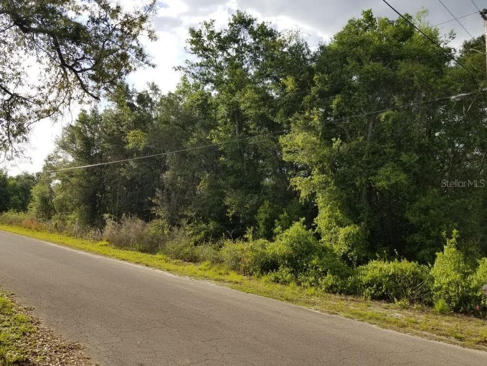 Lot #81 CORPUS CHRISTI DRIVE SPRING HILL, FL 34610