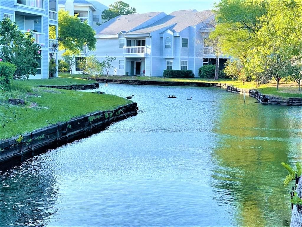 6916 STONES THROW CIRCLE N UNIT 9203 ST PETERSBURG, FL 33710