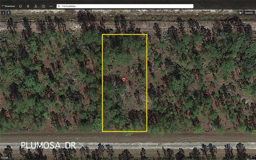 709 PLUMOSA DRIVE INDIAN LAKE ESTATES, FL 33855