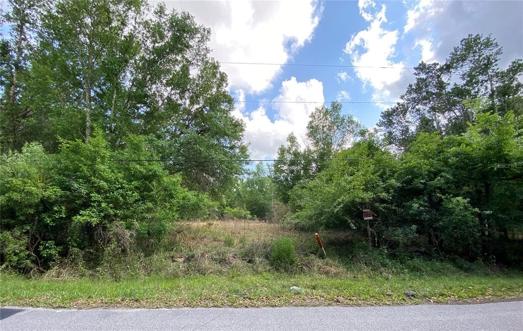 26148 FOAMFLOWER BOULEVARD WESLEY CHAPEL, FL 33544