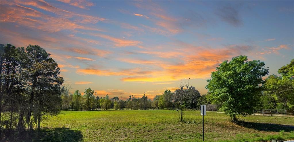 11735 KNIGHTS GRIFFIN ROAD THONOTOSASSA, FL 33592