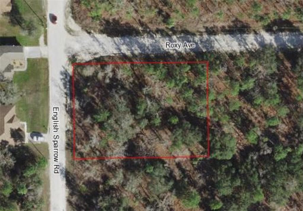 ROXY AVENUE WEEKI WACHEE, FL 34614