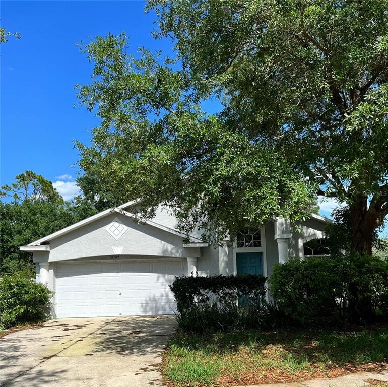 11304 CRANE LAKE COURT RIVERVIEW, FL 33569