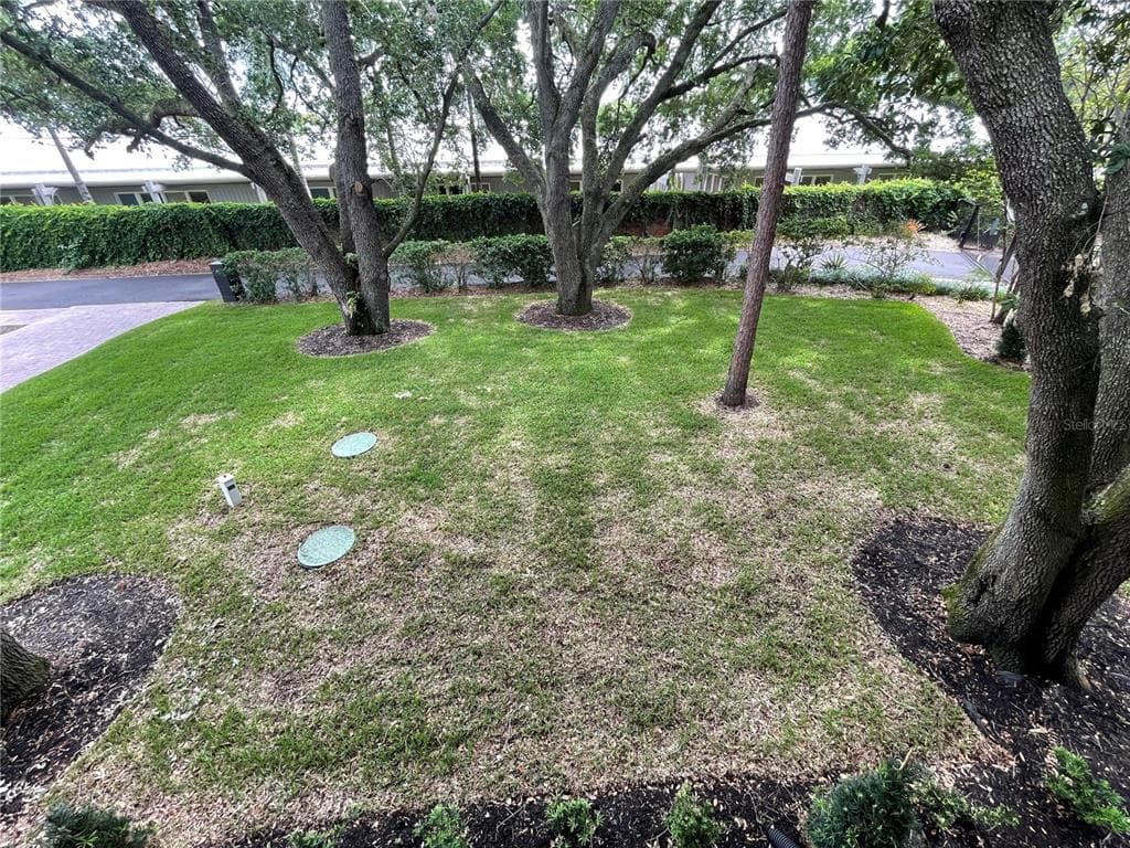 6906 WILLIAMS DRIVE TAMPA, FL 33634