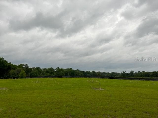 2098 HOLLY HAMMOCK ROAD DE LEON SPRINGS, FL 32130