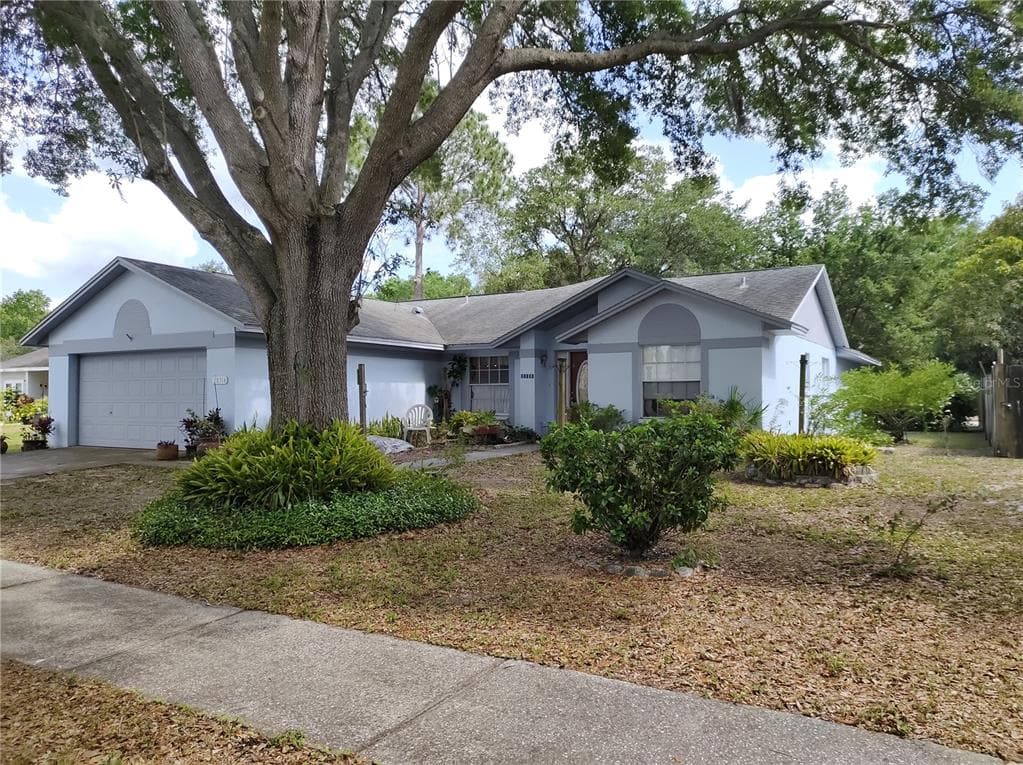 28314 INTERNATIONAL COURT WESLEY CHAPEL, FL 33543