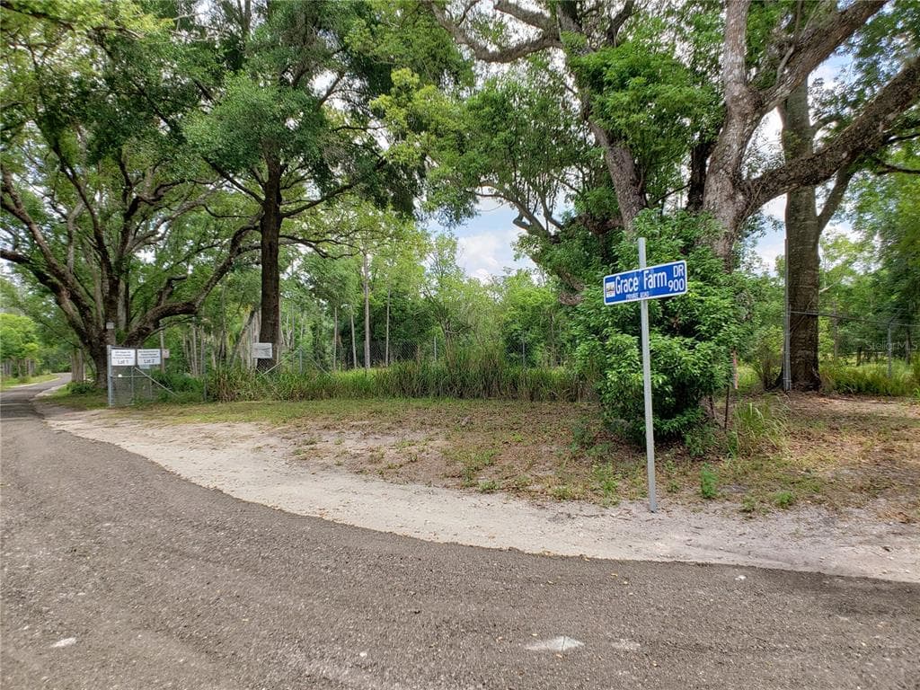 997 GRACE FARM DRIVE LUTZ, FL 33549