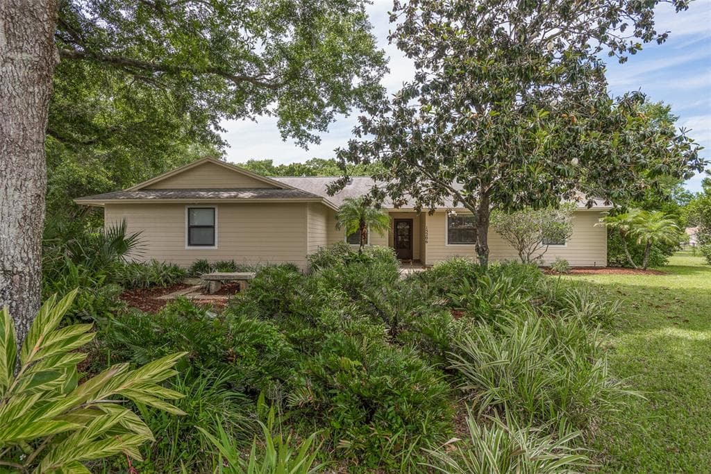 15206 LAKE MAURINE DRIVE ODESSA, FL 33556