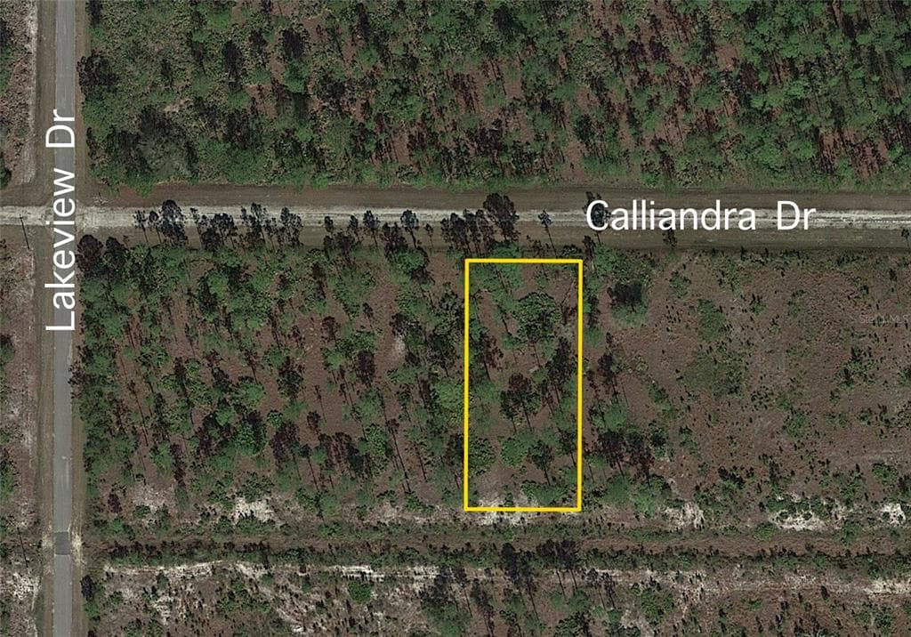 917 CALLIANDRA DRIVE INDIAN LAKE ESTATES, FL 33855
