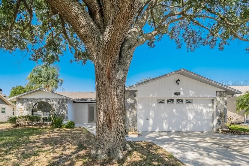 4707 SWALLOWTAIL DRIVE NEW PORT RICHEY, FL 34653