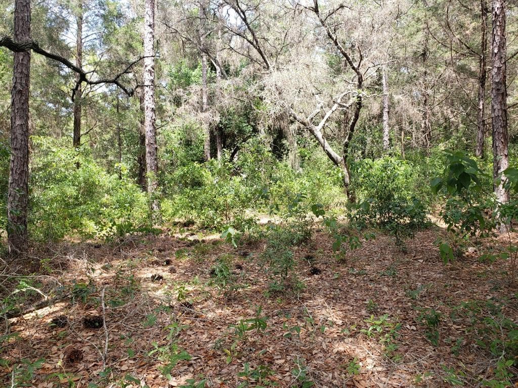 FOXFIRE DR HUDSON, FL 34669