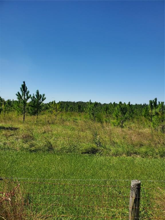 18121 BETHLEHEM ROAD LITHIA, FL 33547