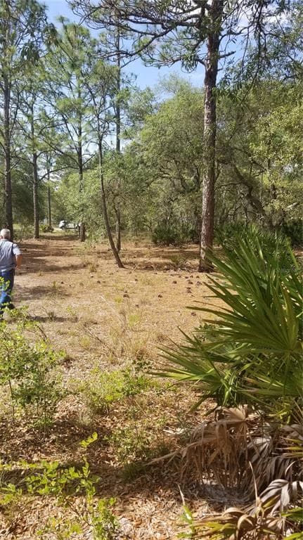 LOT 3 PIGEON AVENUE WEEKI WACHEE, FL 34614