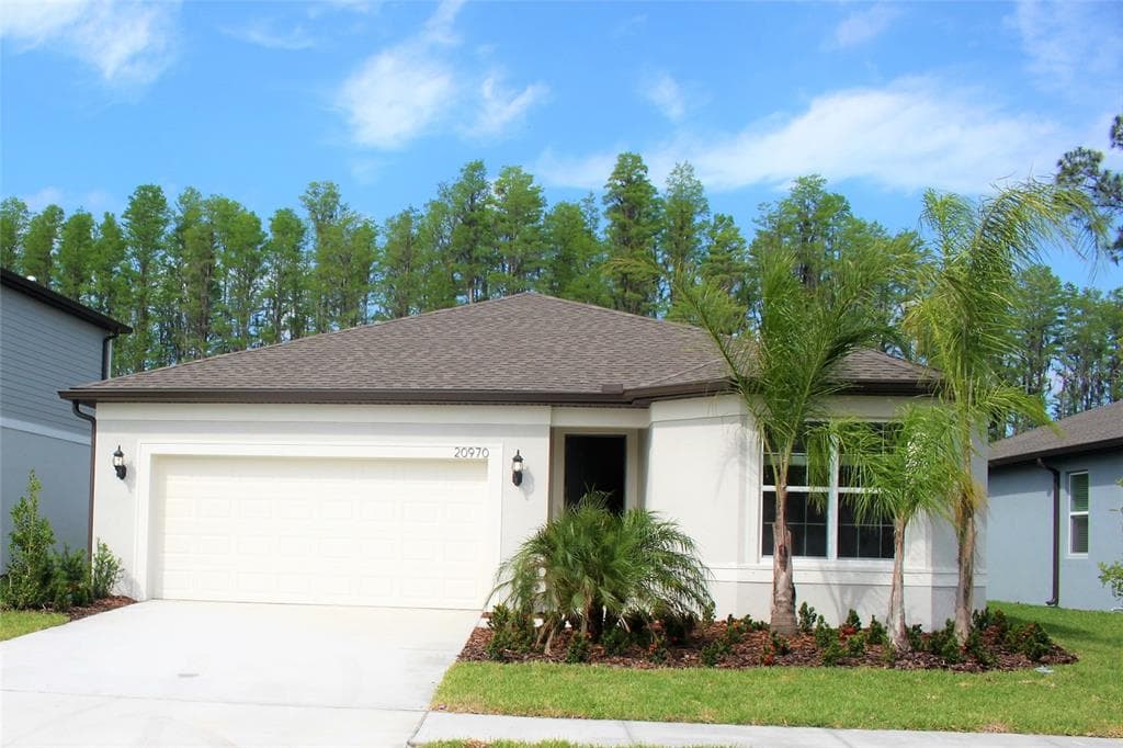 20970 MONZA LOOP LAND O LAKES, FL 34638