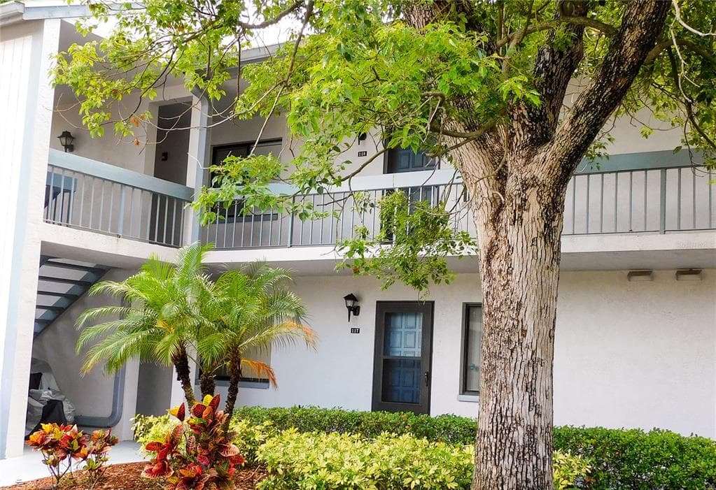 118 MARTHA LANE OLDSMAR, FL 34677