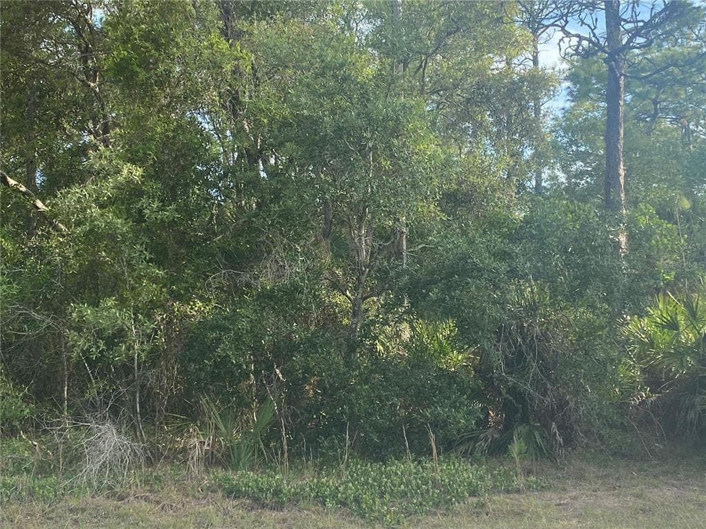 5591 S WILL POINT HOMOSASSA, FL 34446