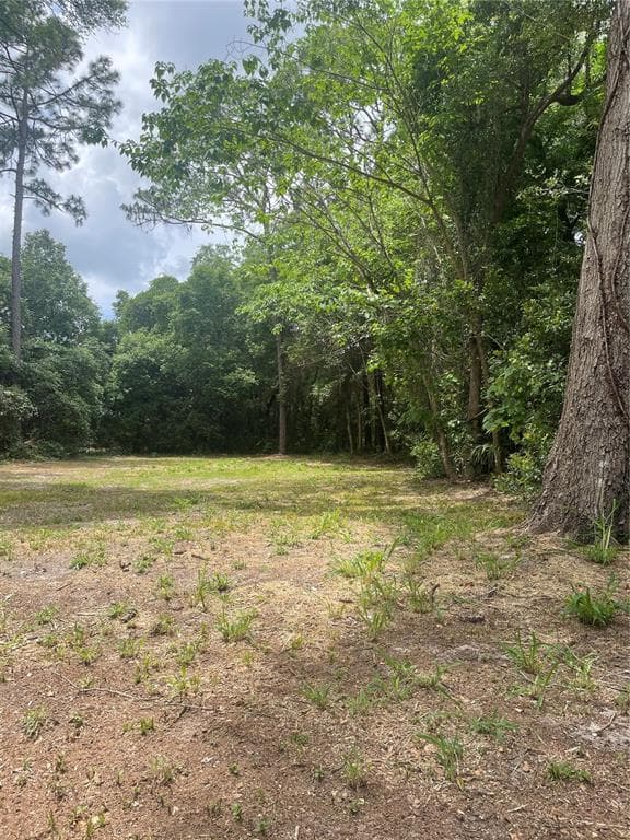 0 HIGHLAND PARK BOULEVARD MOUNT DORA, FL 32757