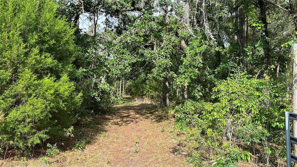 12137 BENSHOFF AVENUE BROOKSVILLE, FL 34601