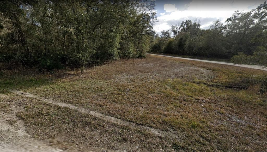 ROSE BLOOM AVENUE WEBSTER, FL 33597