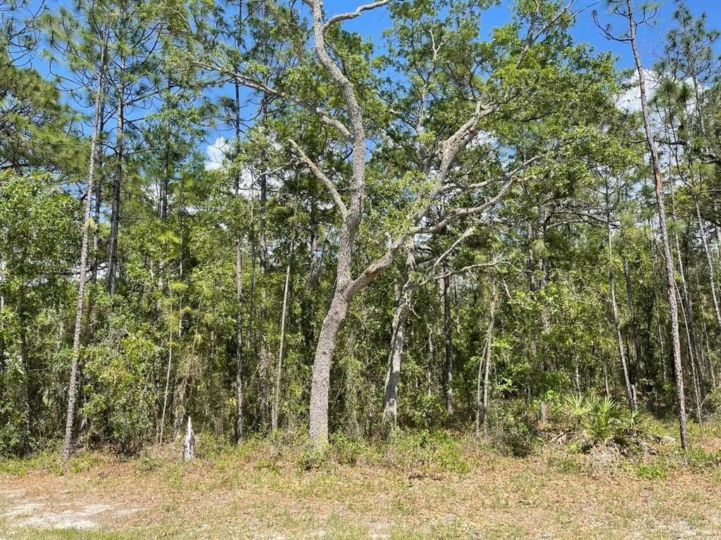 MAGPIE ROAD BROOKSVILLE, FL 34614