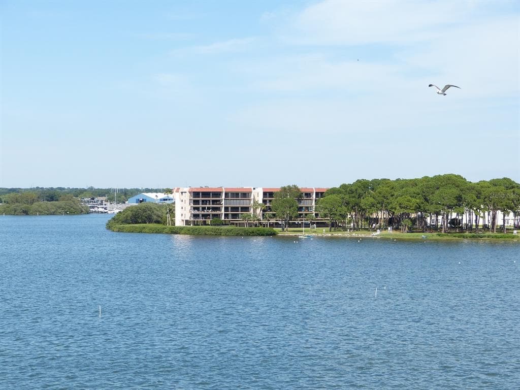 2700 BAYSHORE BOULEVARD UNIT 11109 DUNEDIN, FL 34698