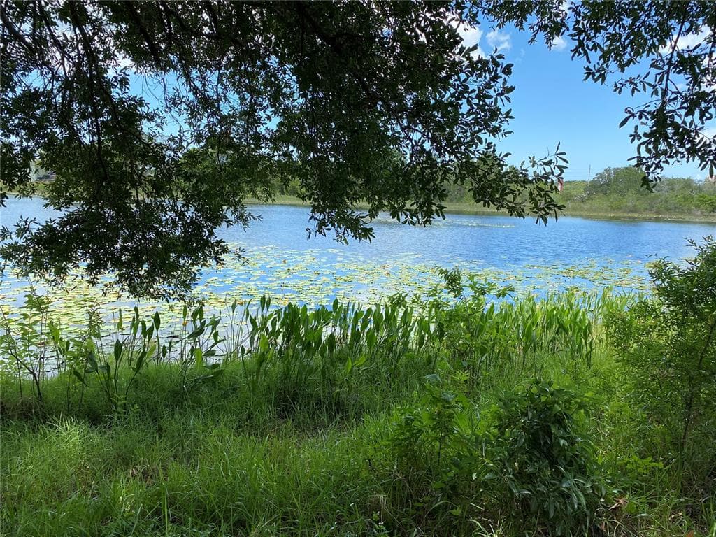 383 DANDELION COURT SPRING HILL, FL 34606