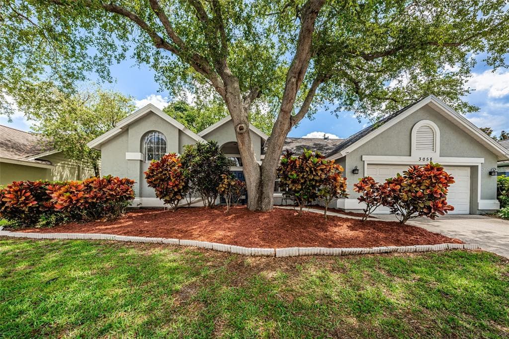 3058 SPRING OAK AVENUE PALM HARBOR, FL 34684