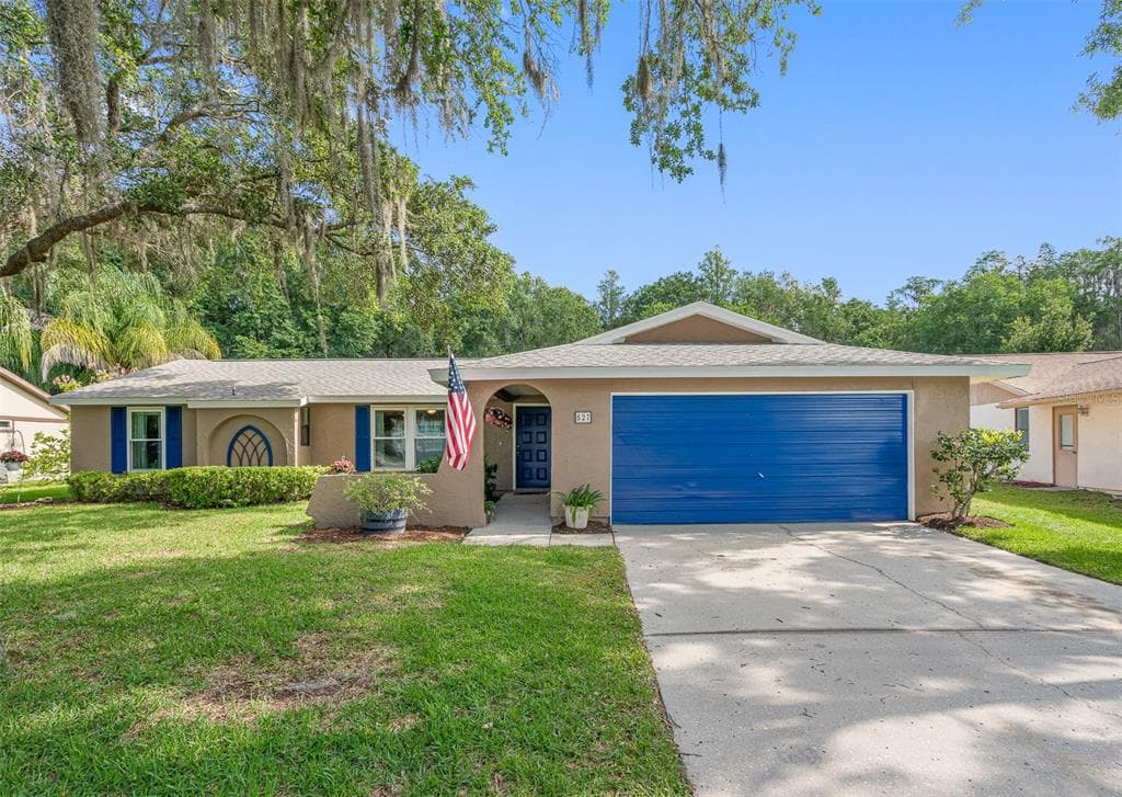 527 LAKEVIEW DRIVE OLDSMAR, FL 34677