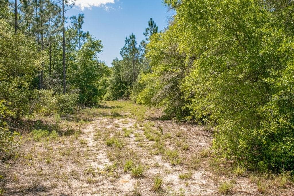 412 WILSON DRIVE INTERLACHEN, FL 32148