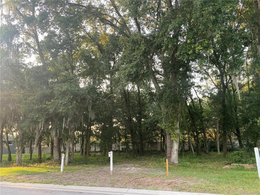 30147 VIENNA WOODS LANE WESLEY CHAPEL, FL 33545